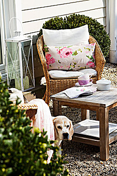 茶,花园,藤条,椅子,垫子,乡村,桌子,正面,房子