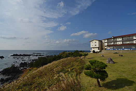 海景,酒店