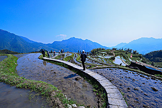 中国最美梯田,浙江丽水云和梯田