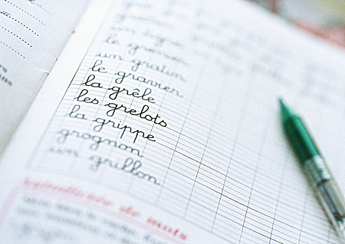 笔记本,清单,词汇,法国