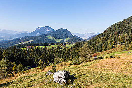 阿尔卑斯草甸,山,提洛尔,奥地利