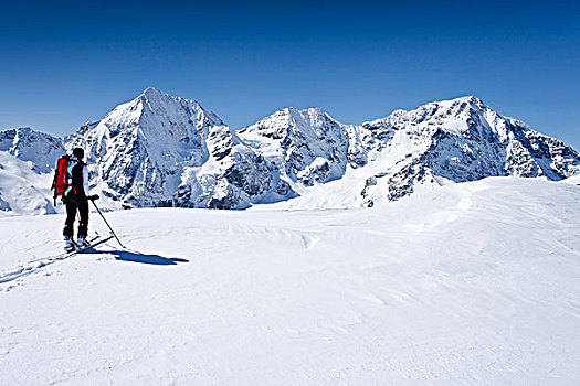 越野滑雪者,向上,山,意大利,欧洲