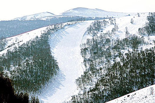 雪场白色的滑雪雪道