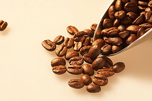 咖啡豆,舀具