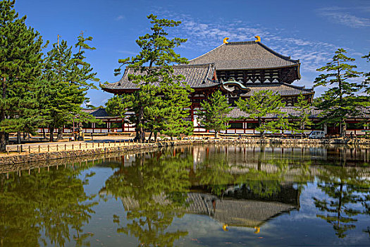亚洲,日本,奈良,庙宇,公园