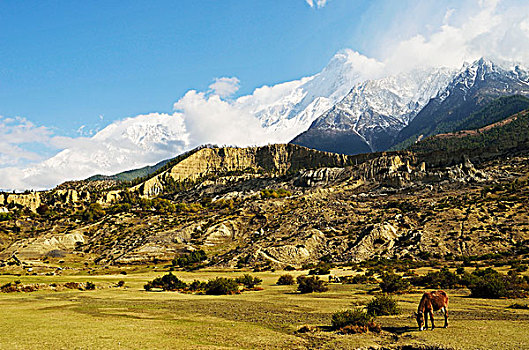 安纳普尔纳峰,保护区,地区,尼泊尔
