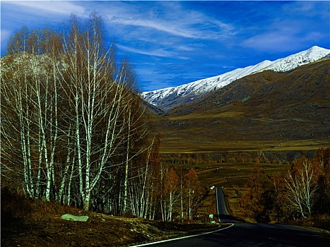 风景,中国,喀纳斯禾木