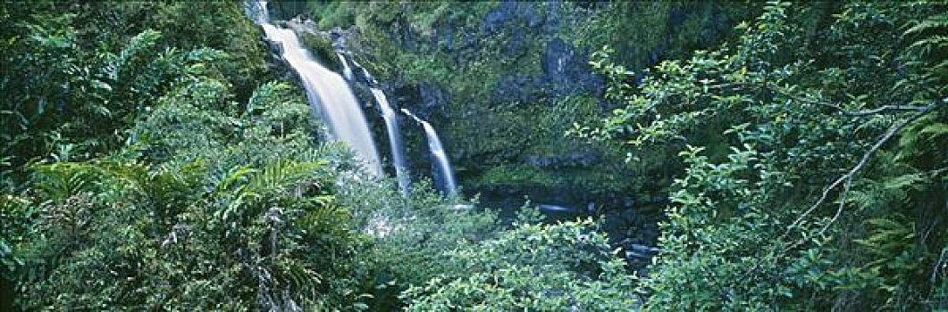 夏威夷,毛伊岛,热带,瀑布,途中,围绕,茂密,绿色植物