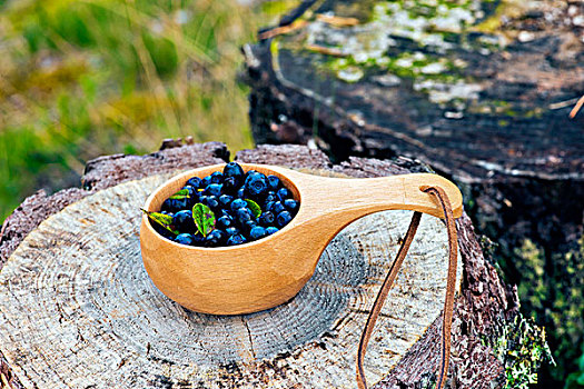 蓝莓,木质,杯子