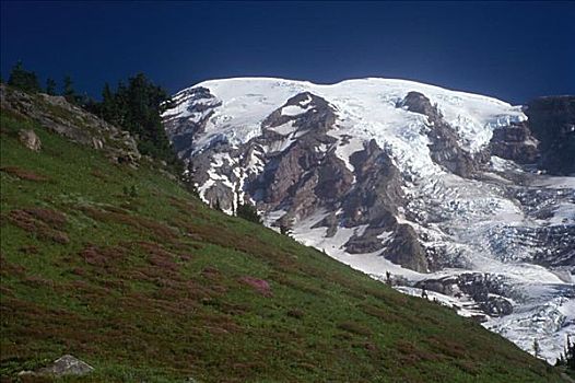 雷尼尔山国家公园,华盛顿,美国