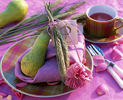 餐巾装饰,粉色,大麦属