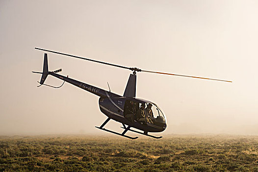 游戏,捕获,直升飞机,黑白,犀牛,牧场,南非