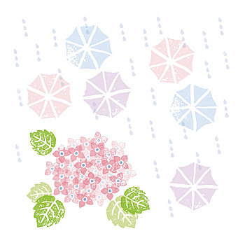 粉色,八仙花属,伞,下雨,季节