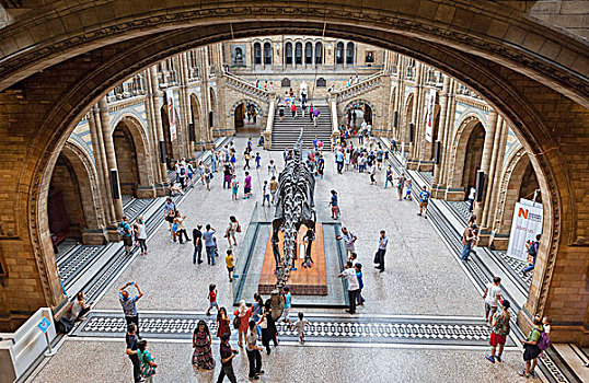 门廊,恐龙,骨骼,自然历史博物馆,肯辛顿,伦敦,英格兰,英国,欧洲
