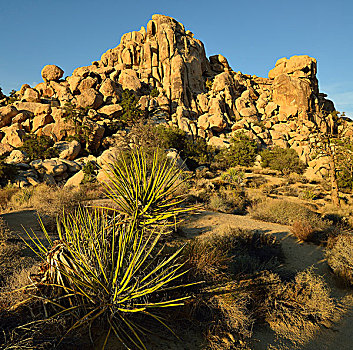 玉米煎饼,岩石构造,隐藏,山谷,约书亚树国家公园,莫哈维沙漠,加利福尼亚,西南方,美国