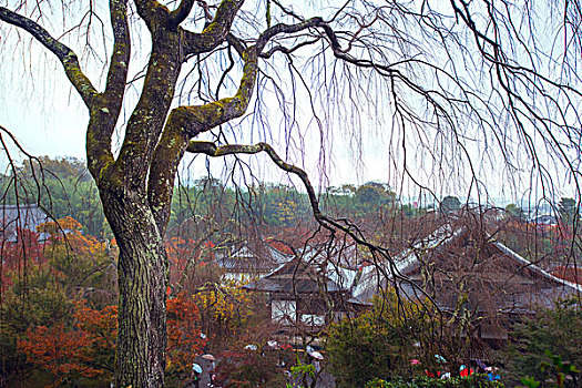 日本岚山天龙寺