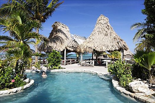 酒店,游泳池,海洋,佩特罗,岛屿,伯利兹,中美洲,加勒比海