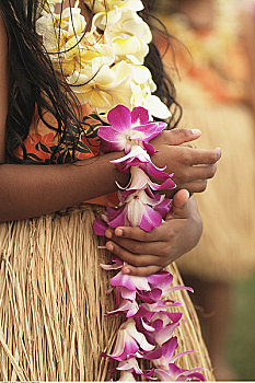 草裙舞,瓦胡岛,夏威夷