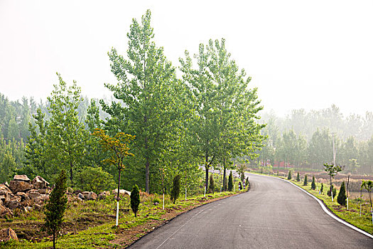 初夏公路