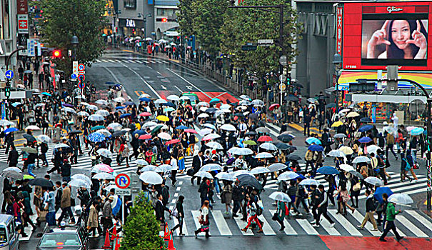 日本,东京,涩谷,街道,一堆,人