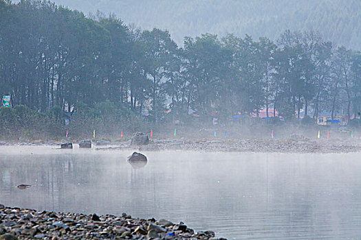 湖,水面,雾气,蒸腾,白雾,水蒸气,缥缈,仙境,灵性,家禽,鸭子,鹅,游动,自在,安静,自然,风光