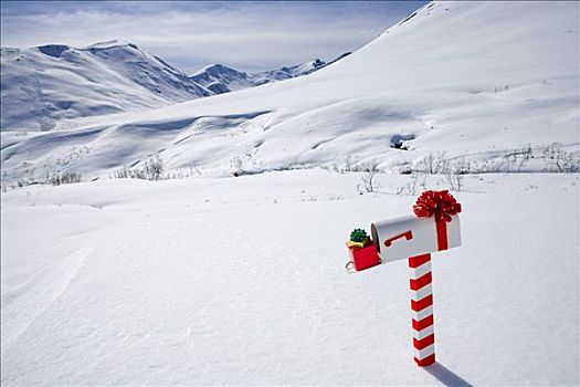 白色,邮箱,装饰,圣诞节,站立,雪地,冬天,阿拉斯加