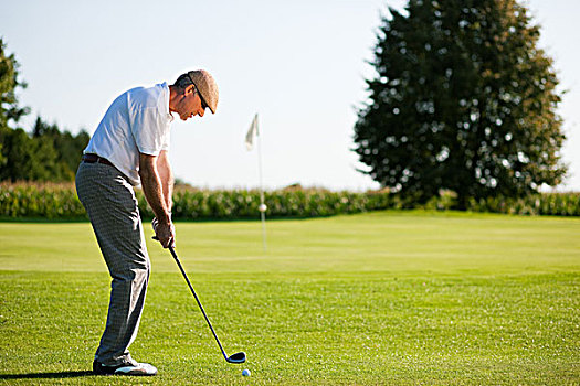 老人,打高尔夫,高尔夫,击打,玩,美好,夏天,下午