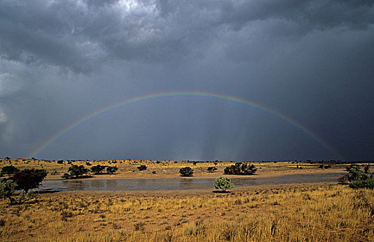 彩虹,风暴,天空,卡拉哈迪大羚羊国家公园,南非,非洲