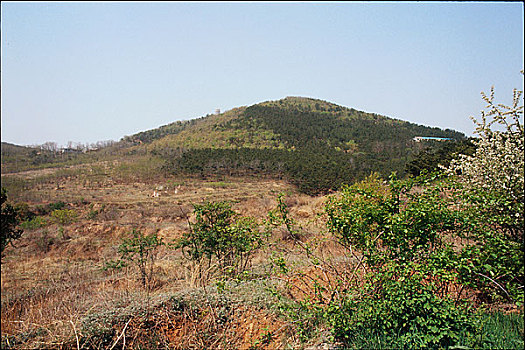 二零三高地全景