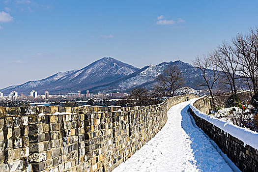 台城霁雪