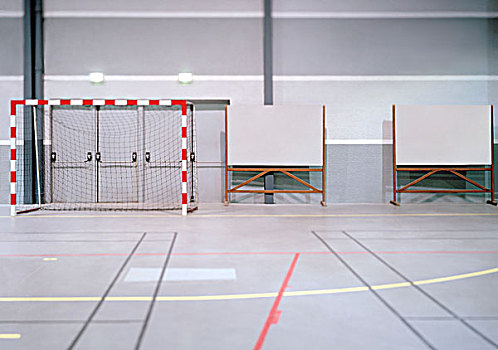 两个,白色,板,球,进球,左边,运动,法国南部,二月,2003年