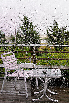 下雨,花园,后面