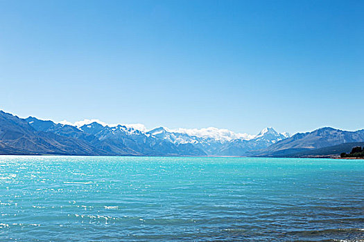 风景,湖,夏天,新西兰