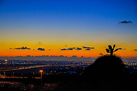 日落,上方,特拉维夫,区域,中心,以色列