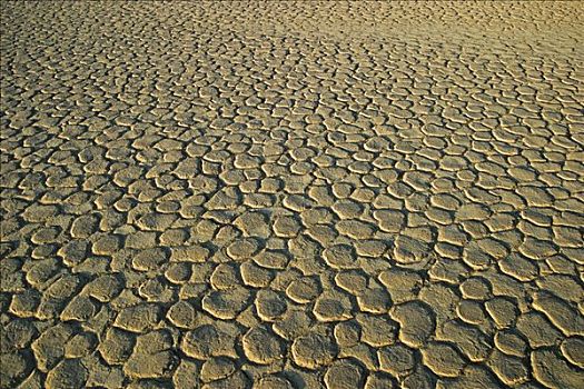 干枯,粘土,土地,死亡谷,纳米布沙漠,纳米比亚,非洲