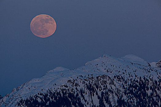 风景,冬天,夜晚,巴伐利亚阿尔卑斯山,巴伐利亚,德国