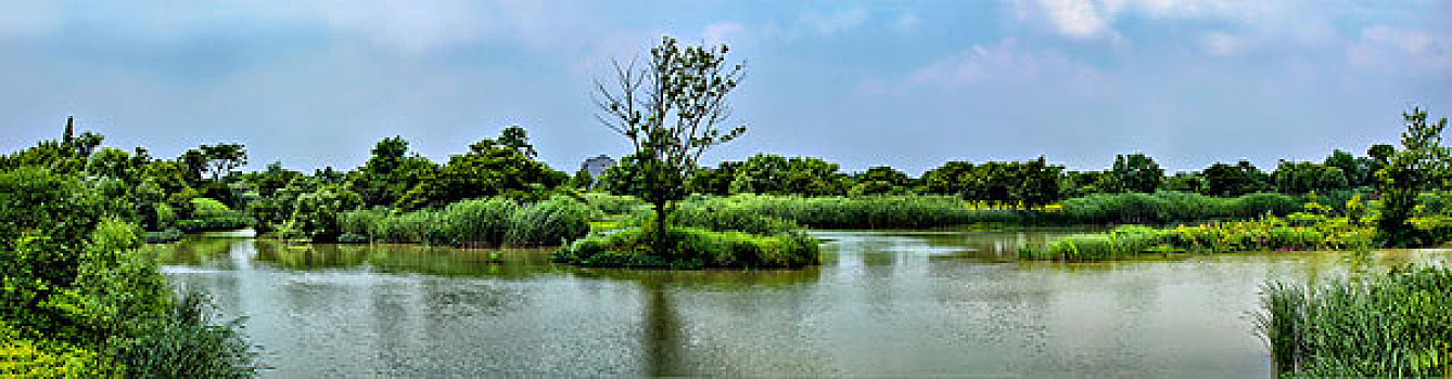 杭州西溪湿地风光