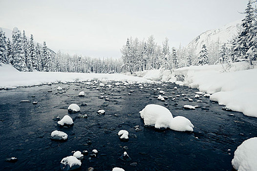 长椅,溪流,冬天,阿拉斯加