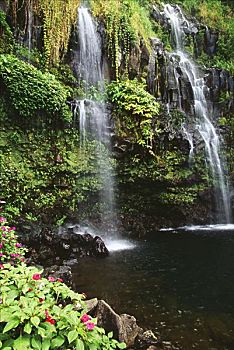 夏威夷,毛伊岛,两个,瀑布,一个,水池,茂密,绿色植物