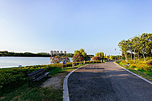 道路