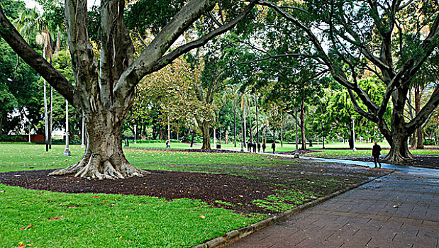悉尼市区,悉尼,海德公园