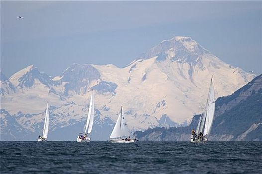 帆船,2005年,天涯,赛舟会,湾,火山,库克海峡,山脉,夏天