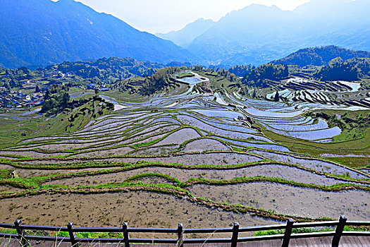 中国最美梯田,浙江丽水云和梯田