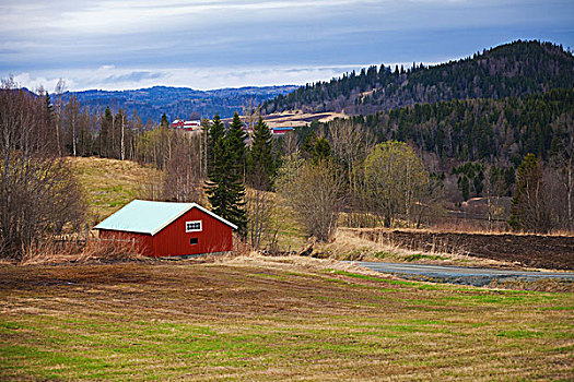 春天,空,乡村,挪威,风景,红色,木屋,树林,山