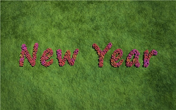 新年,文字,花,草,背景
