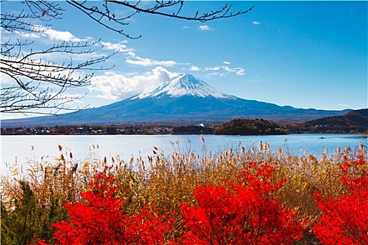 山,富士山,秋天
