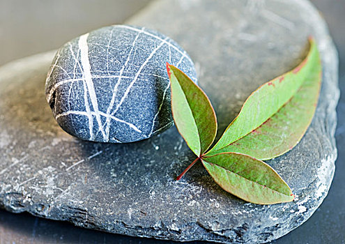 鹅卵石,叶子,石头