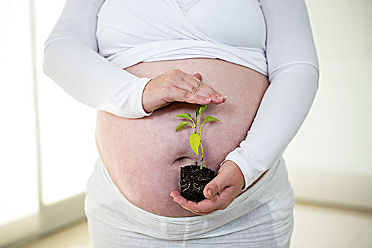 孕妇,拿着,植物,在家