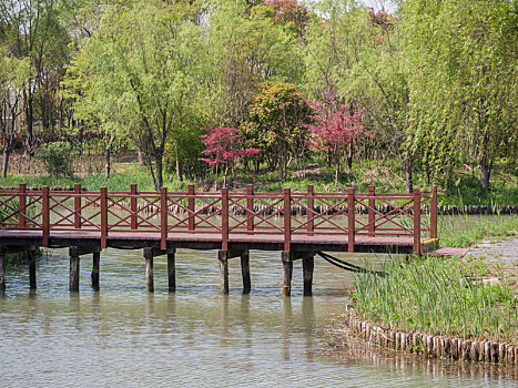 春天的无锡梁鸿湿地