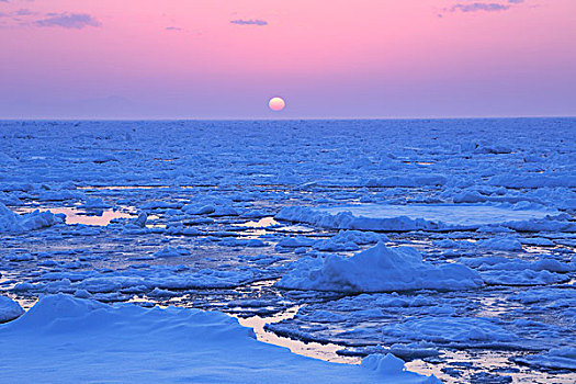 北海道,漂浮,冰,朝日